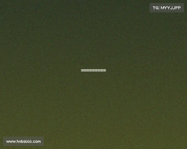 美国各大赛事排名、美国最火的赛事